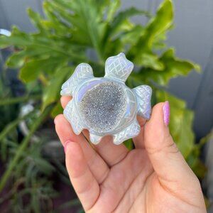 Gray Rainbow Agate Druzy Turtle Crystal